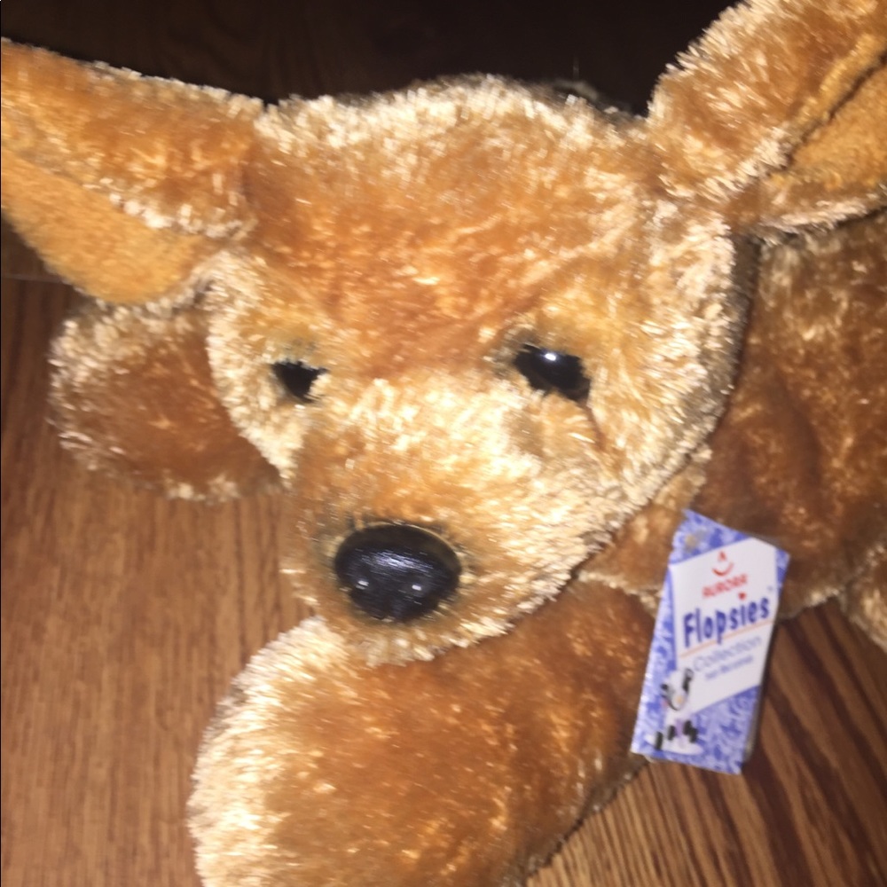 Floppies PUP - Picture 2 of 2